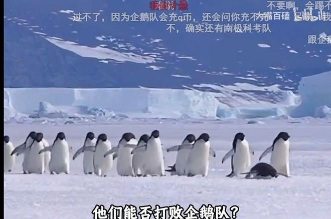 从2023到2026,神奇规律再显现,白卓璇温网资格赛创不败神话