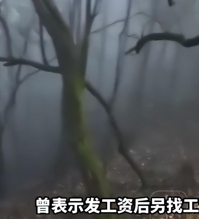 李月汝4板1助佩奇10份5板7助 飞翼大胜王牌